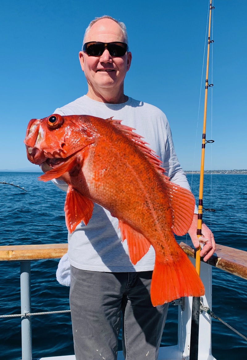 Chubasco II Fish Report - Chubasco II - Hookup Baits Charter Aboard the Sea  Star - July 29, 2018