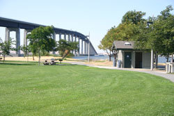 Antioch Oakly Pier Fishing Report