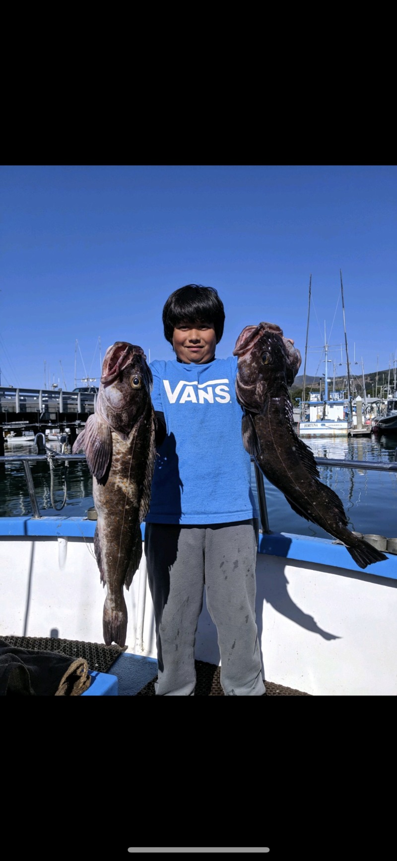 Deep reef Rock fishing 11-2