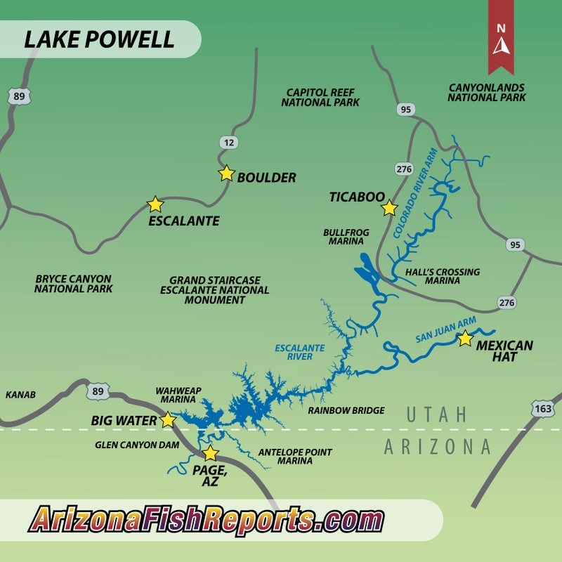 Lake Powell Fishing Map Lake Powell Fish Report