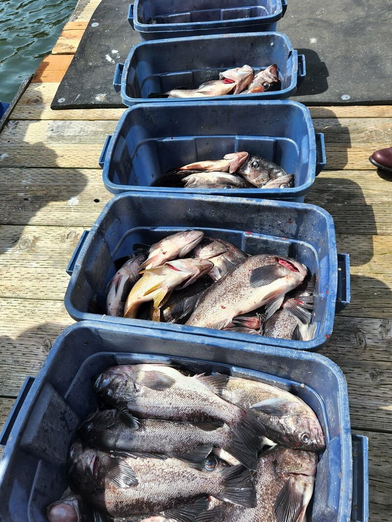 Another Great Day Of Fishing 