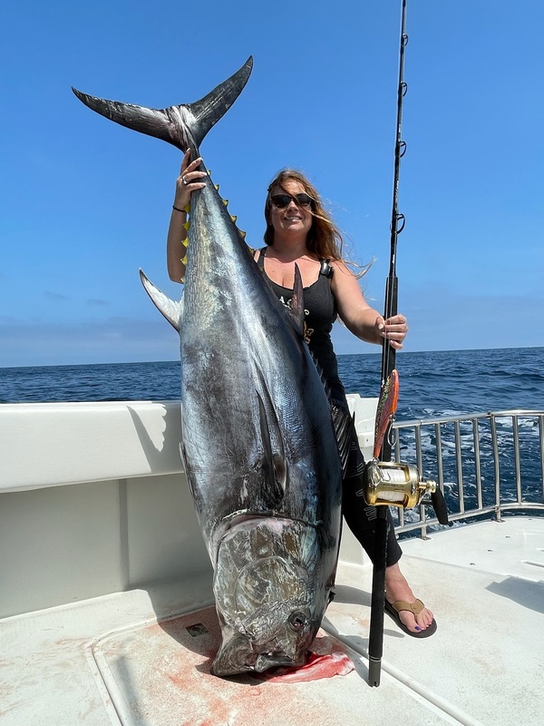 Bluefin Tuna 