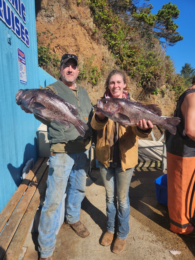 Monster Sea Bass