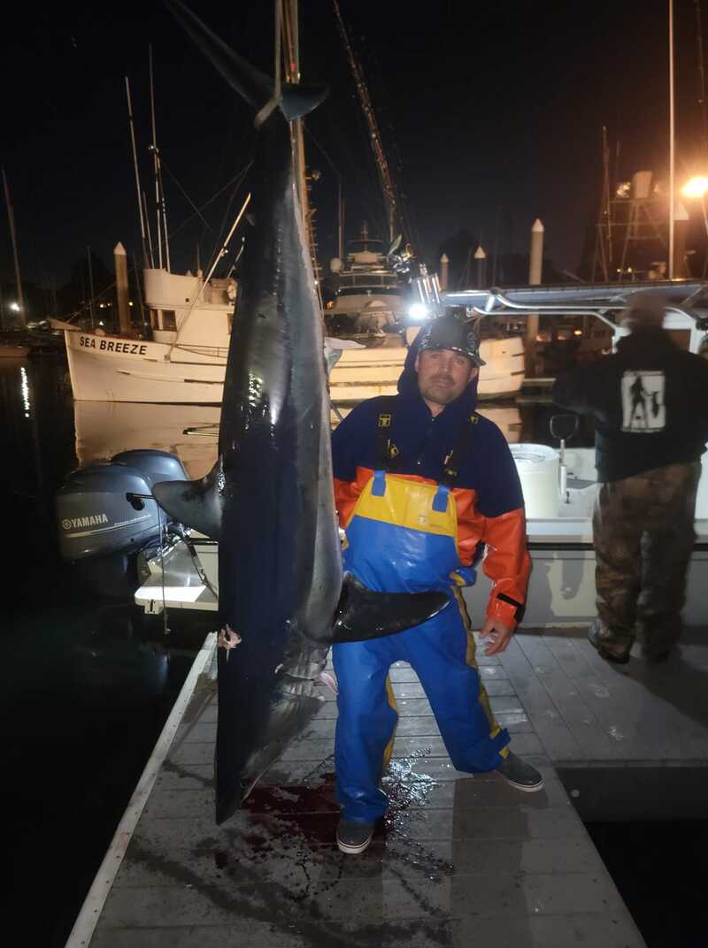 Hunt for Bluefin Lands Angler Mako