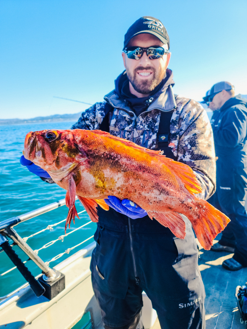 Limits of rockfish, and some nice Ling!