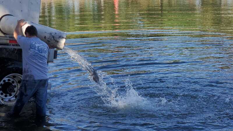 ᐅ Stocking Lake fishing reports🎣• Bemidji, MN (United States