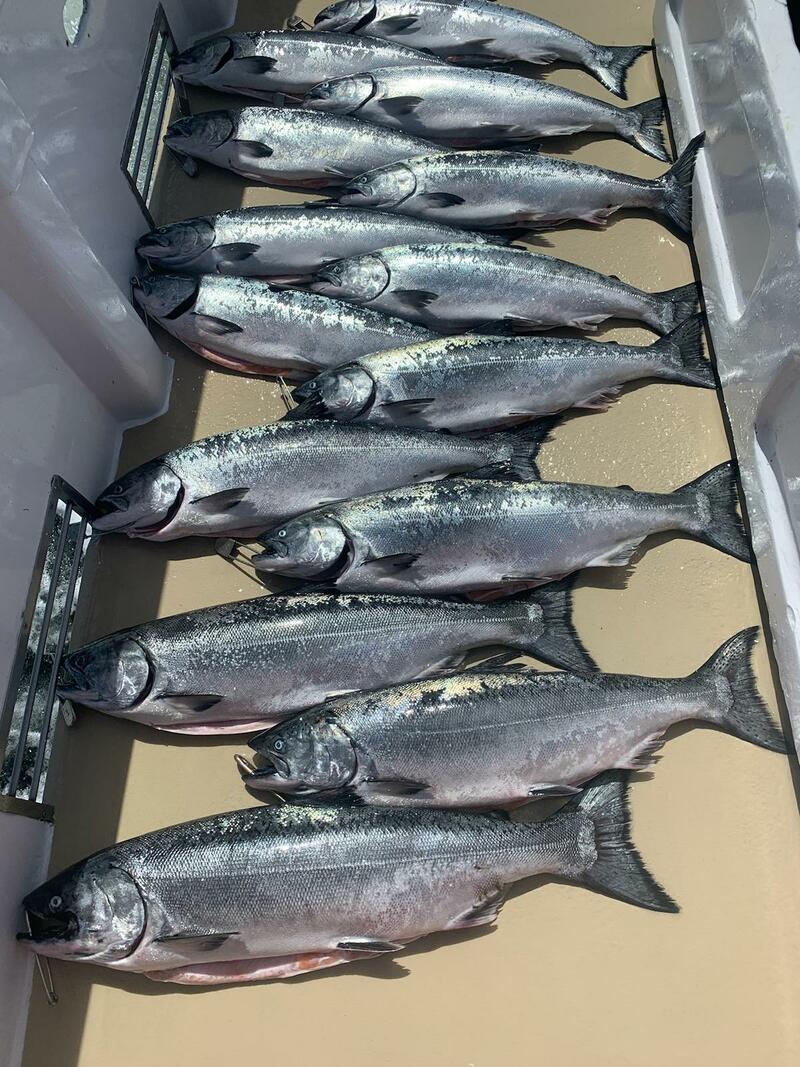 Good salmon fishing in spite of the weather