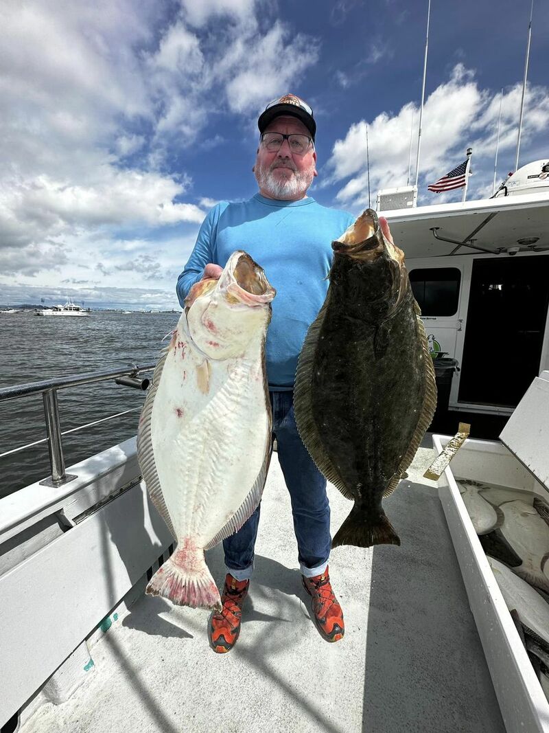 Limits of halibut and bass
