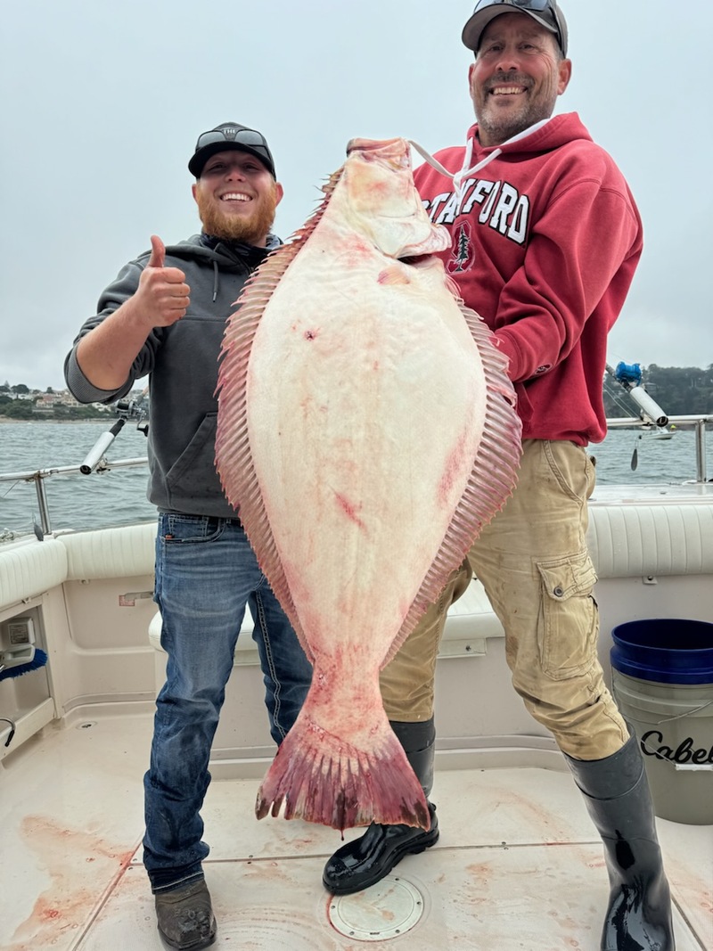 Fish Emeryville Fleet's Scores for 8/10/2024 :