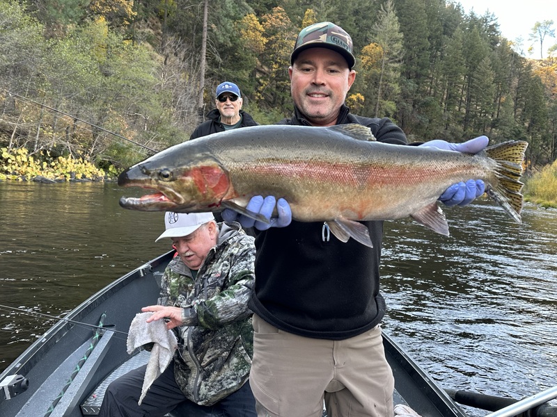 It’s winter steelhead time!!