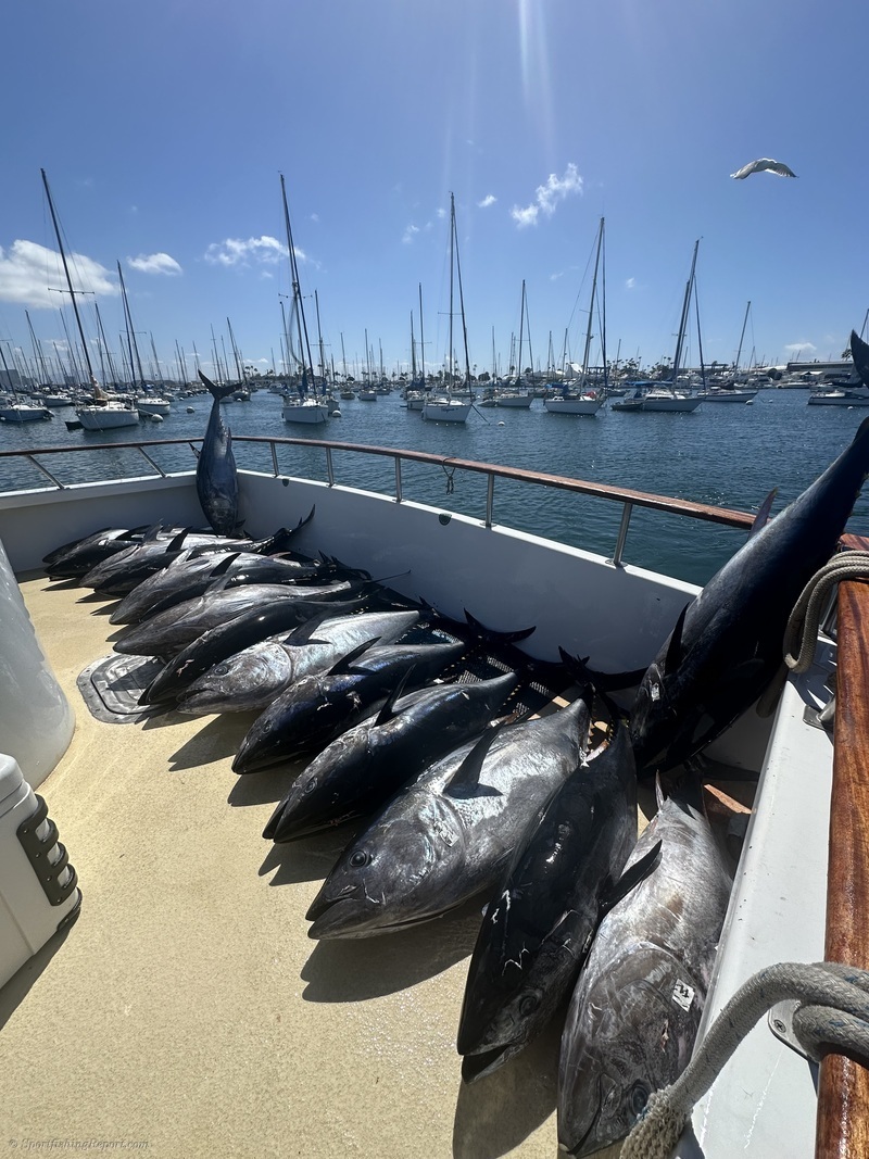 Fisherman's Landing: San Diego, CA Fishing Charters