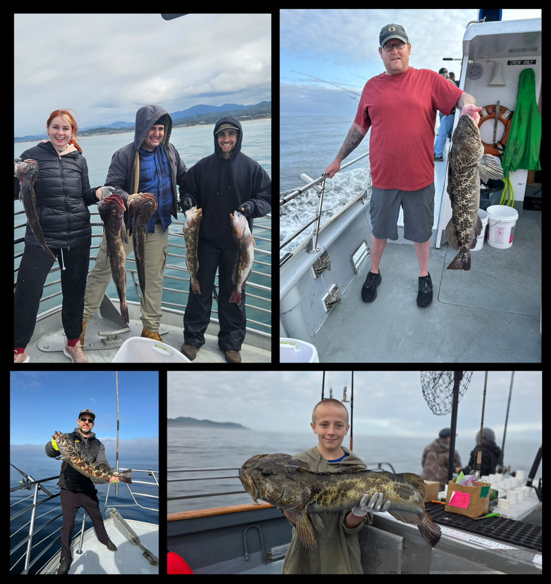 Latest Fish Report