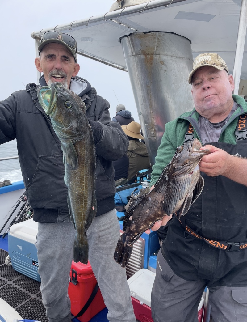 Fish Report - Cover Photo