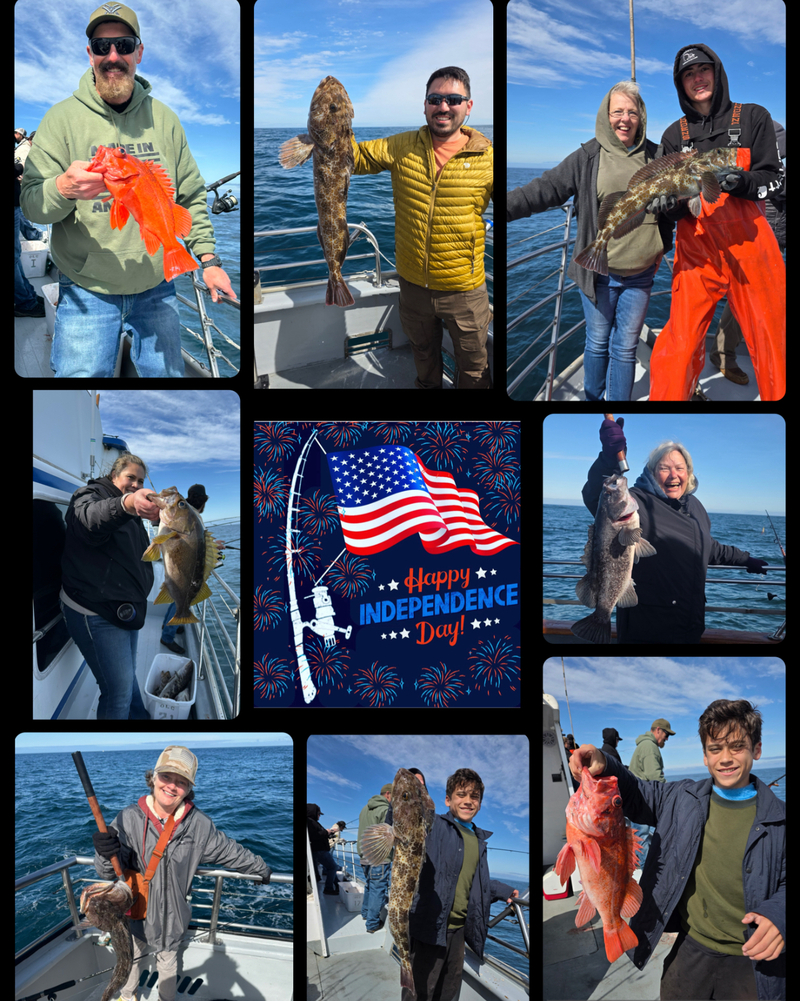 Latest Fish Report