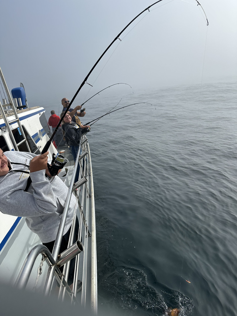 Latest Fish Report