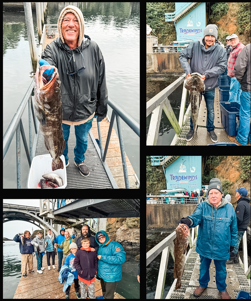 Latest Fish Report