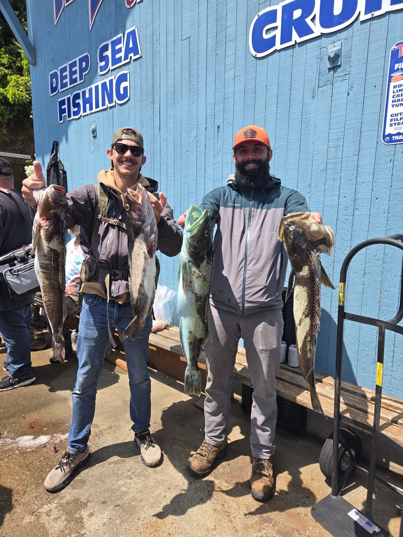 Lings are Lookin' Good Lucy!