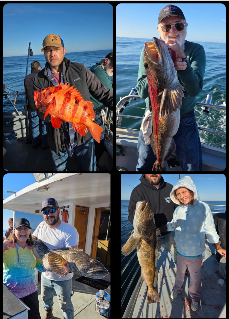 Latest Fish Report