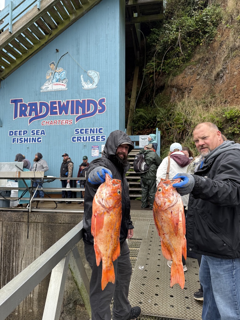 Latest Fish Report