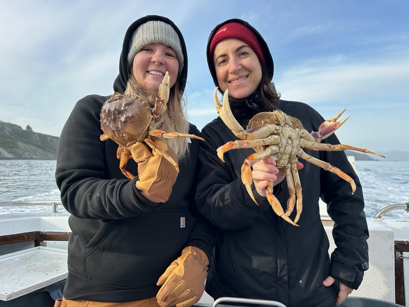 Fish Emeryville's Update for 12/2/2025 :