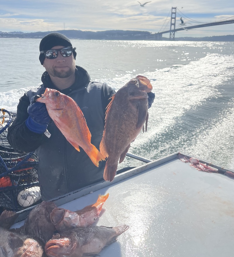 Fish Emeryville's Scores for 12/3/2025