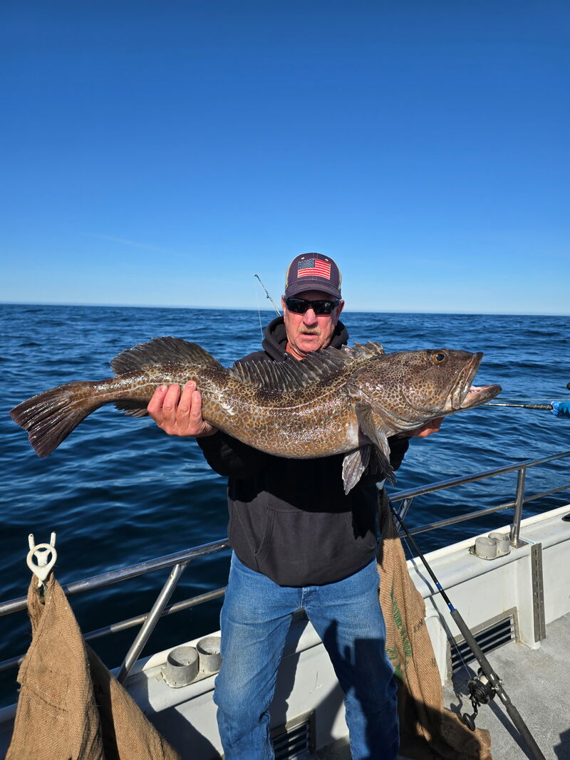 Fish Emeryville's Scores for 4/17/2026: