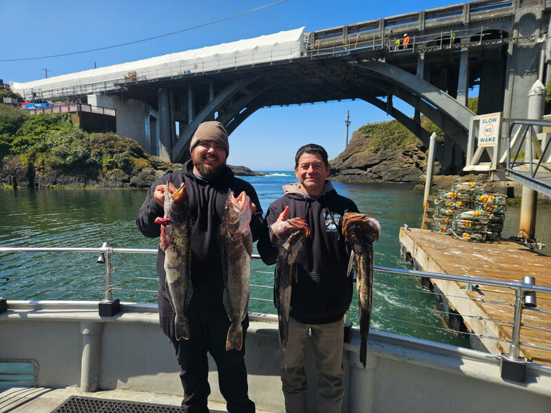 Latest Fish Report