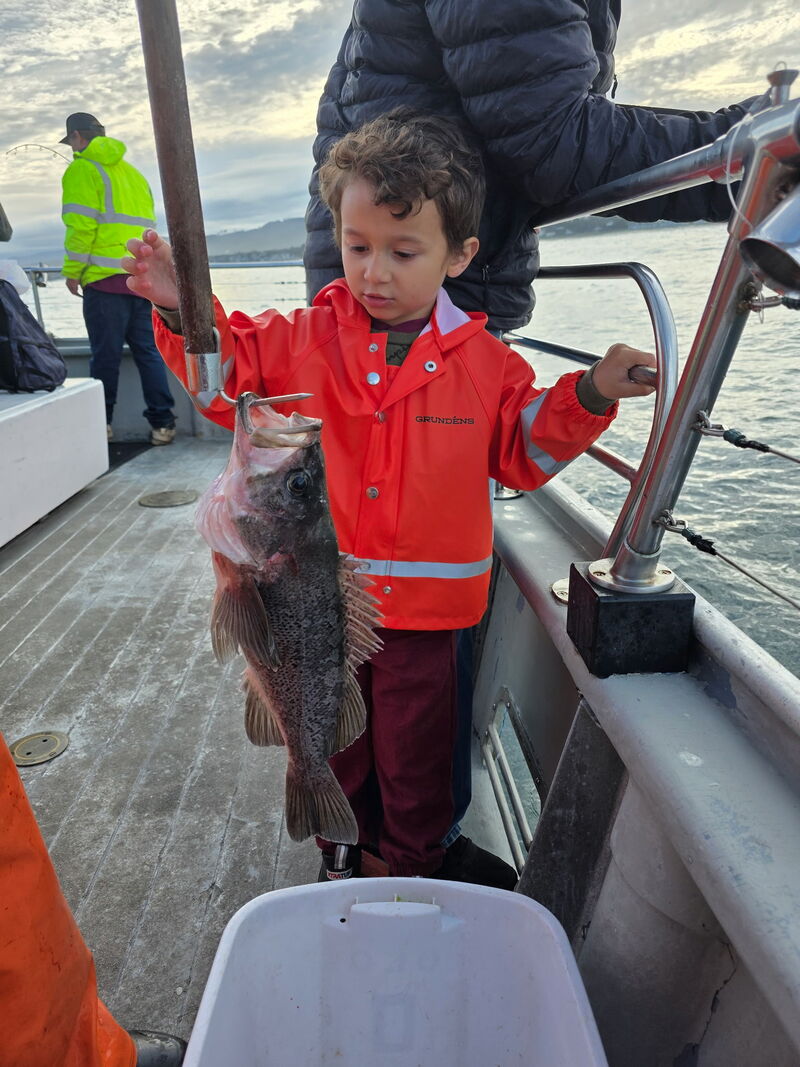 Latest Fish Report