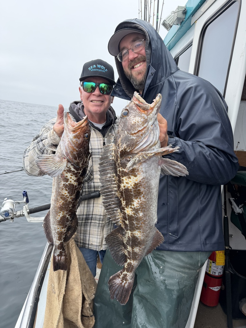 Fish Emeryville's Scores for 5/22/2026 :