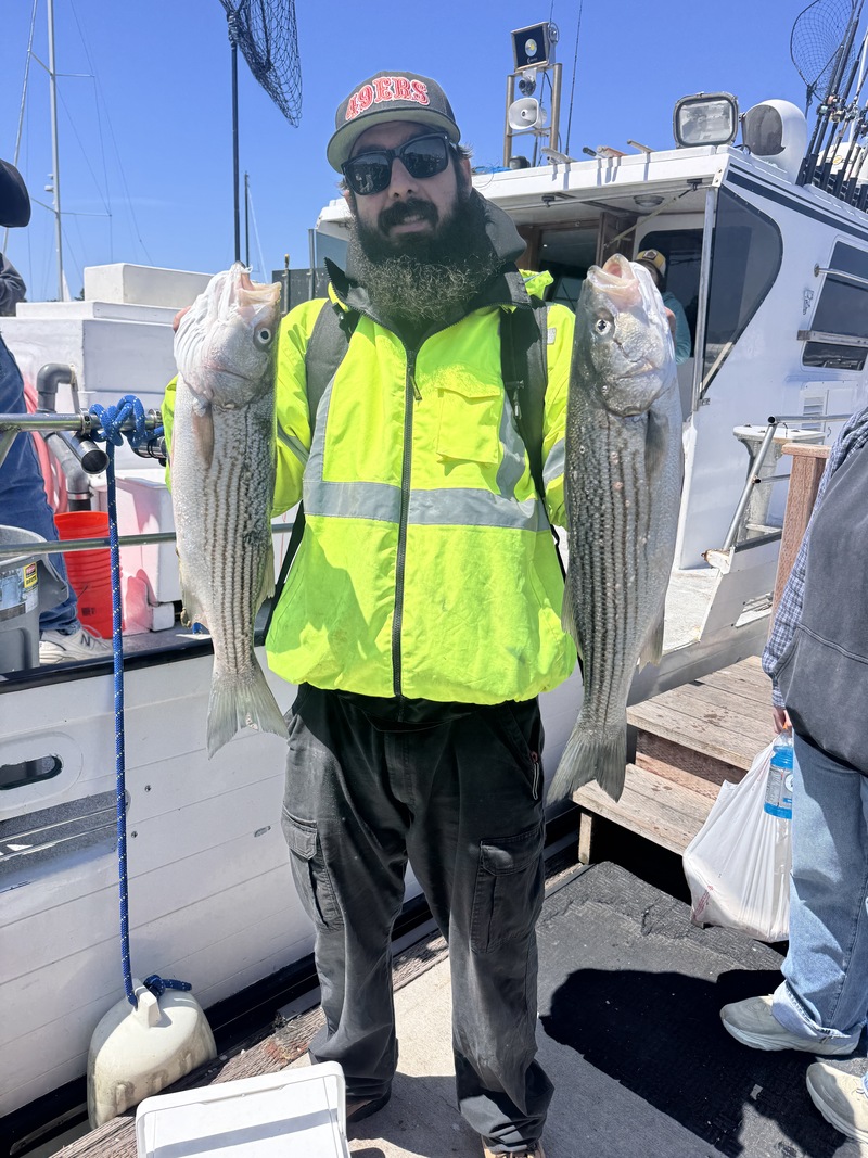 Fish Emeryville's Scores for 5/23/2026 :