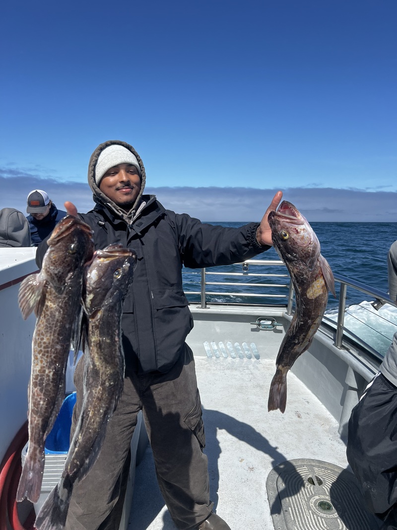 Latest Fish Report