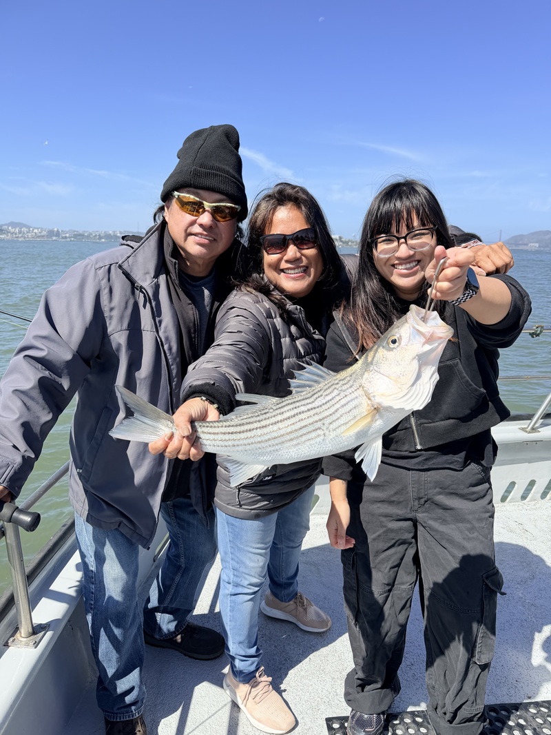 Fish Emeryville's Scores for 6/7/2026 :