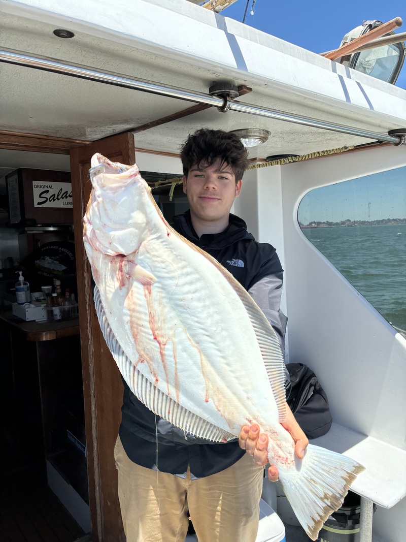 Fish Emeryville's Scores for 6/10/2026 :