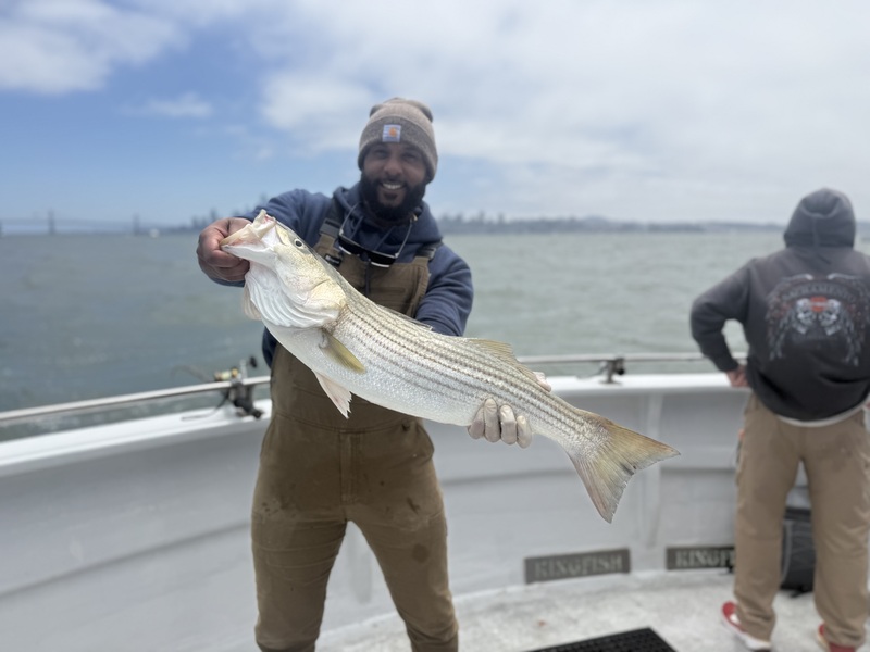 Fish Emeryville's Scores for 6/14/2026: