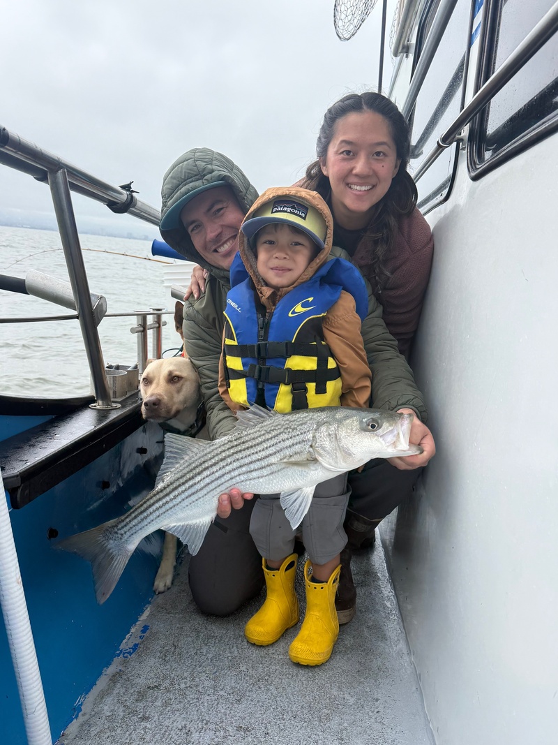 Fish Emeryville's Scores for 6/15/2026 :