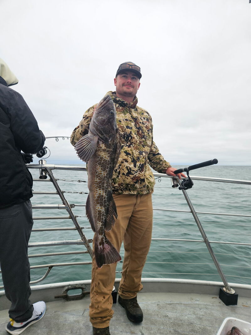 Latest Fish Report