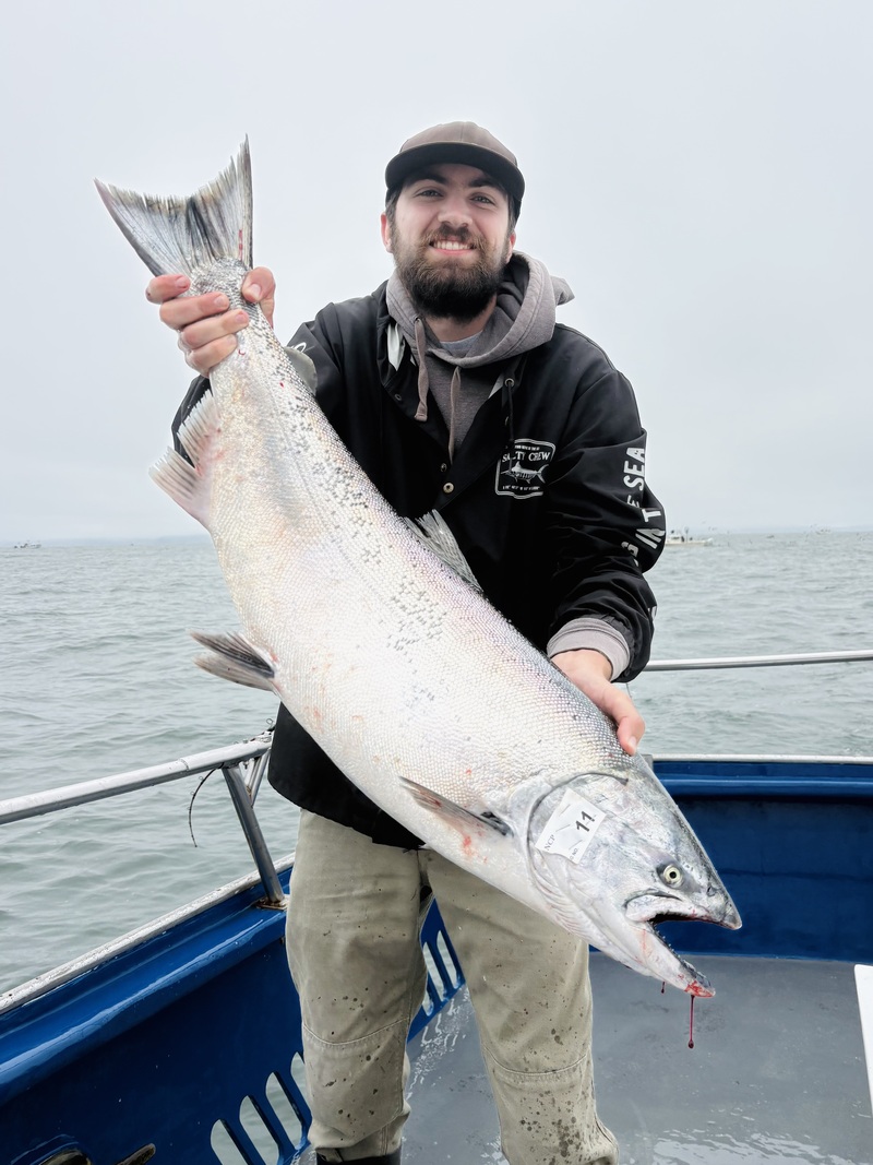 Salmon up to 21 pounds