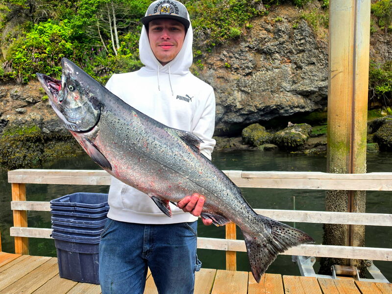 Latest Fish Report