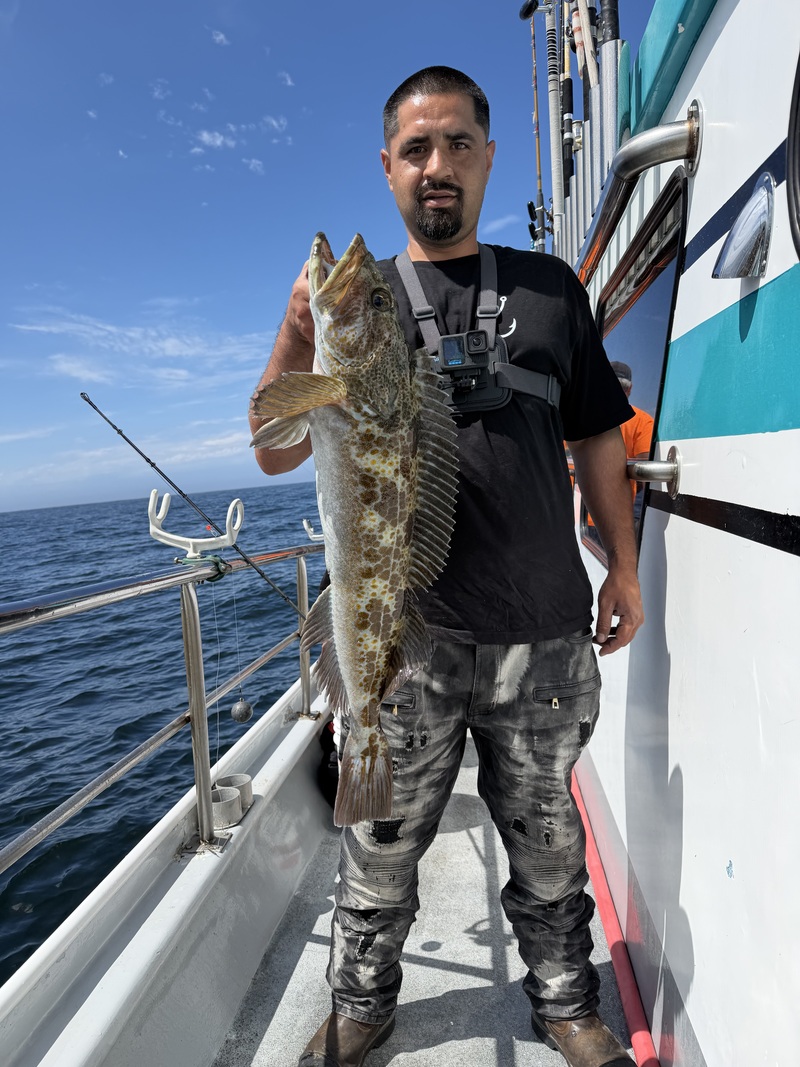 Fish Emeryville's Scores for 7/13/2026 :