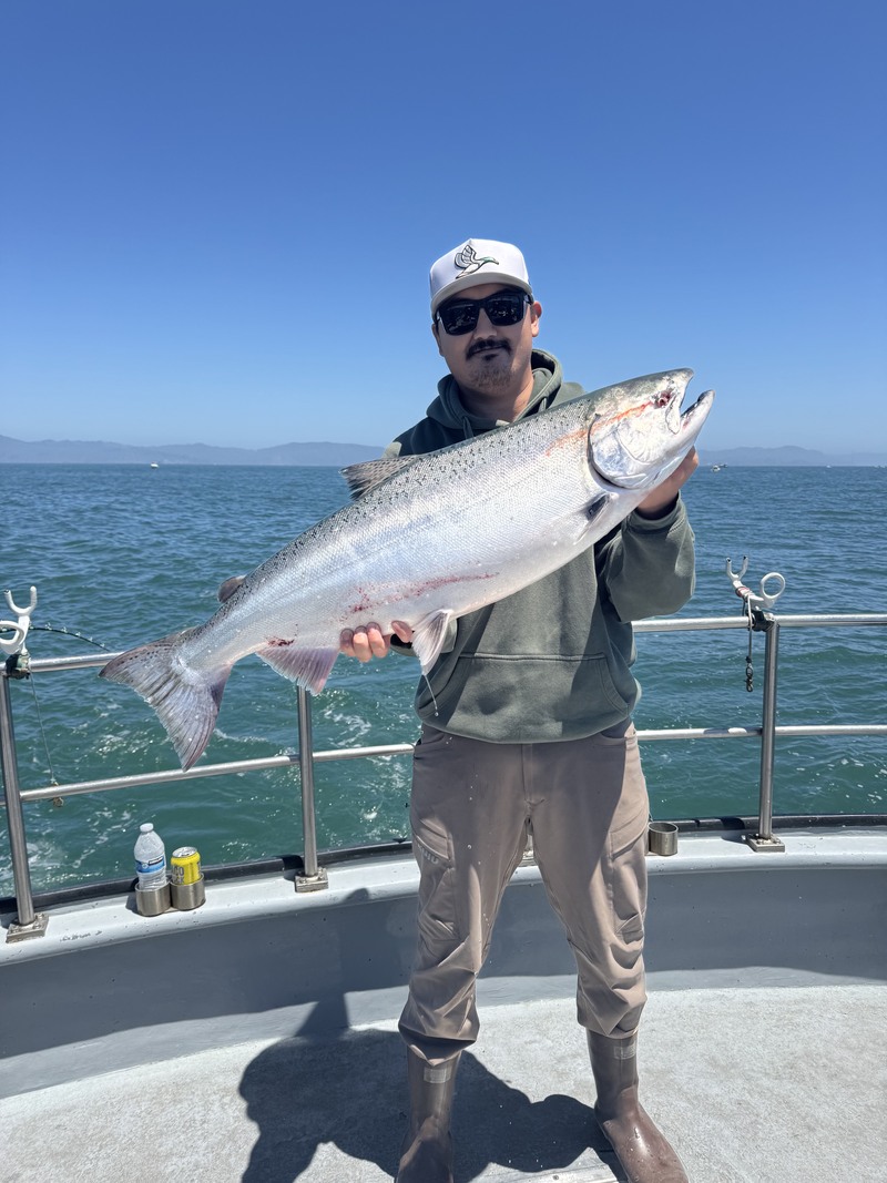 Fish Emeryville's Scores for 7/14/2026 :