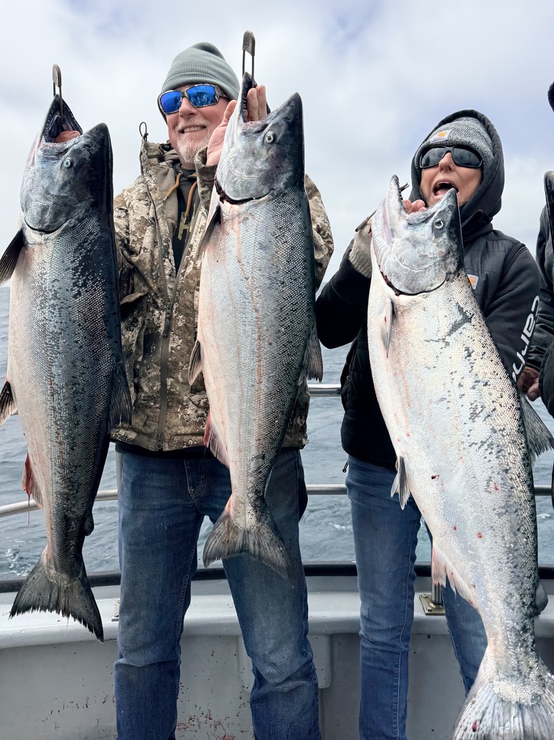 Fish Emeryville's Scores for 7/16/2026 :