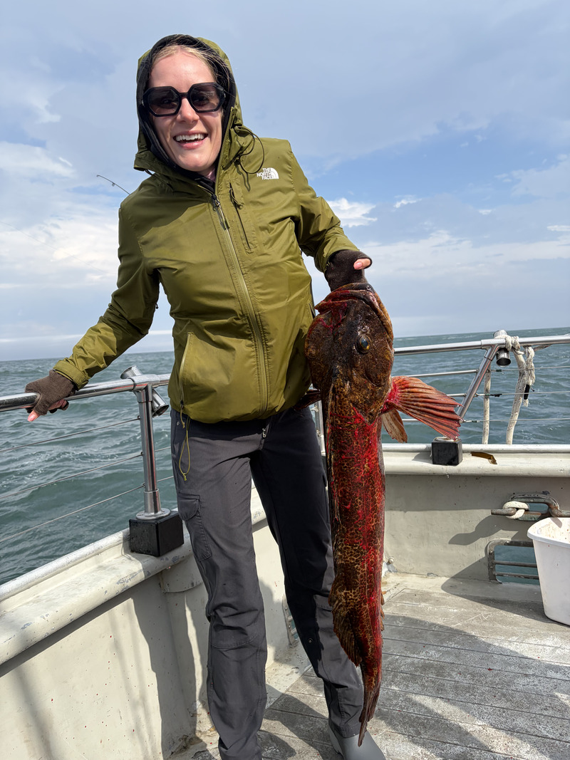 Latest Fish Report