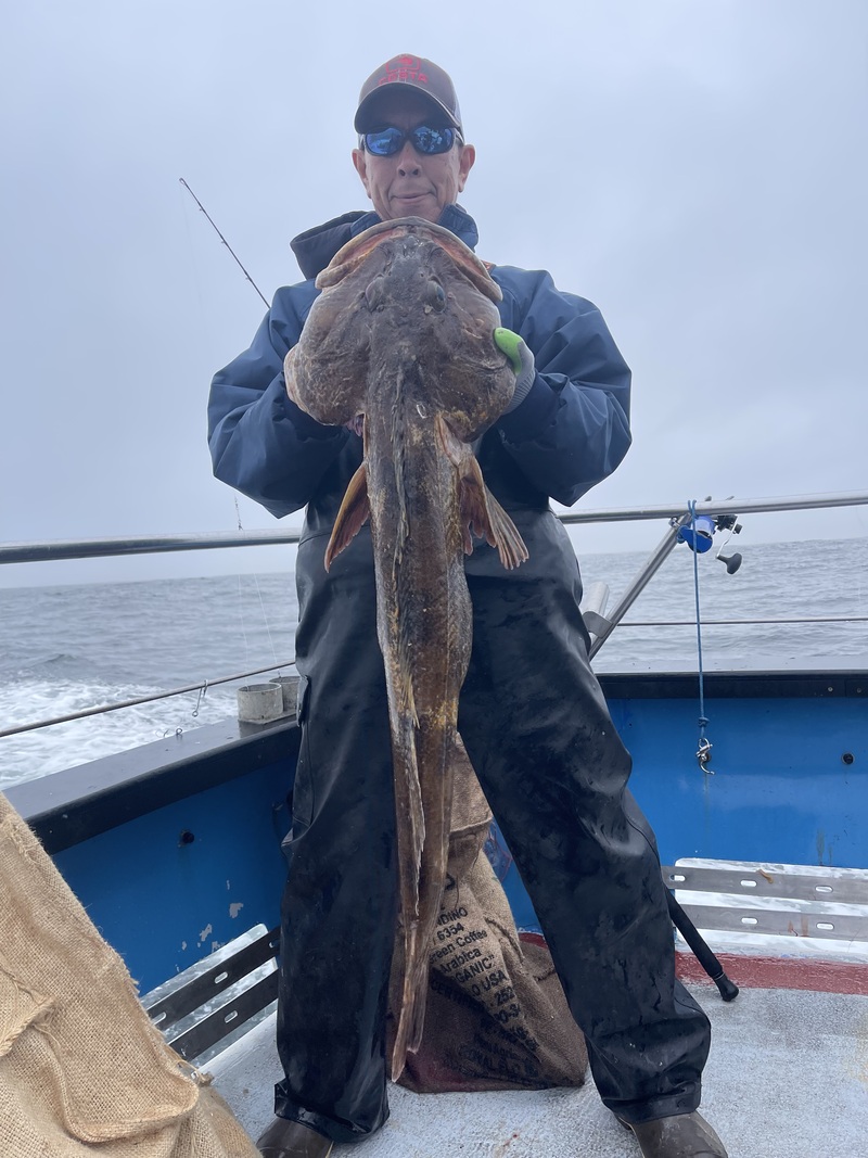 Fish Emeryville's Scores for 7/23/2026 :