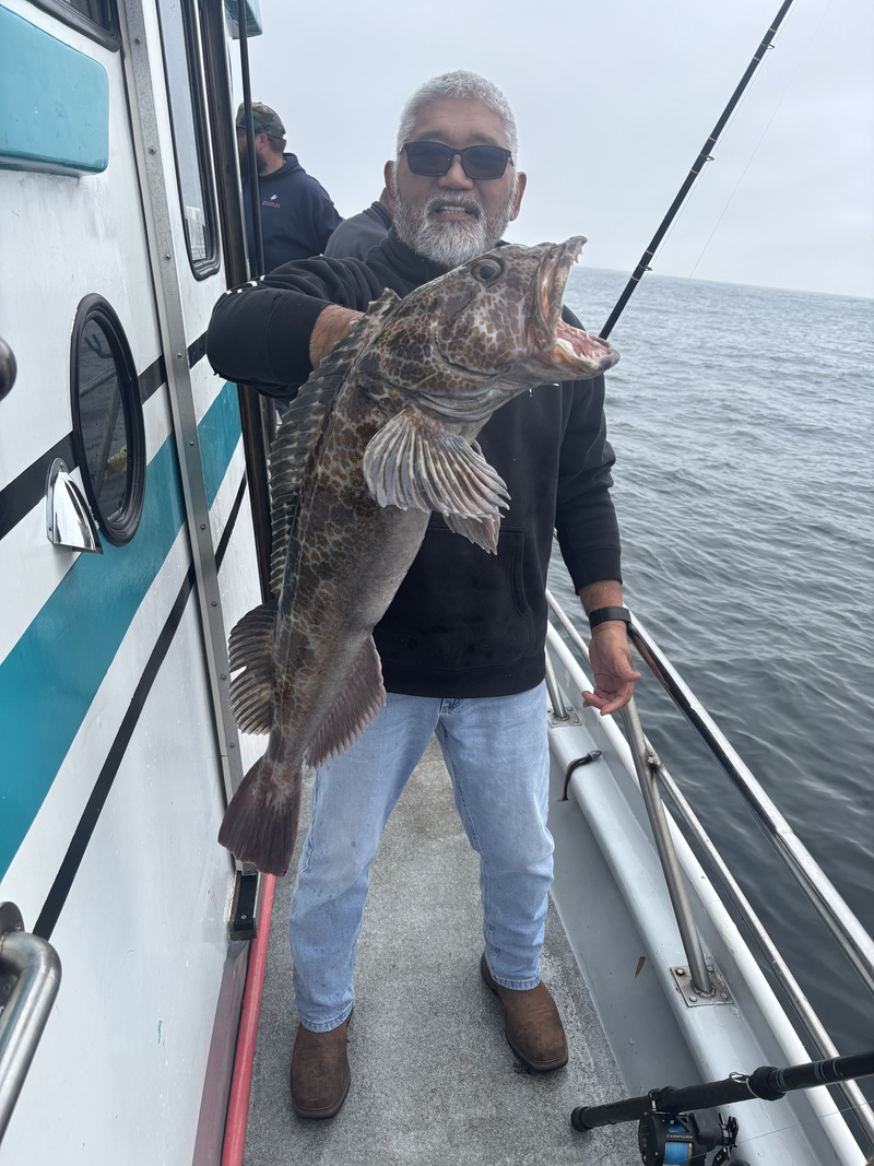 Fish Emeryville's Scores for 7/26/2026 :