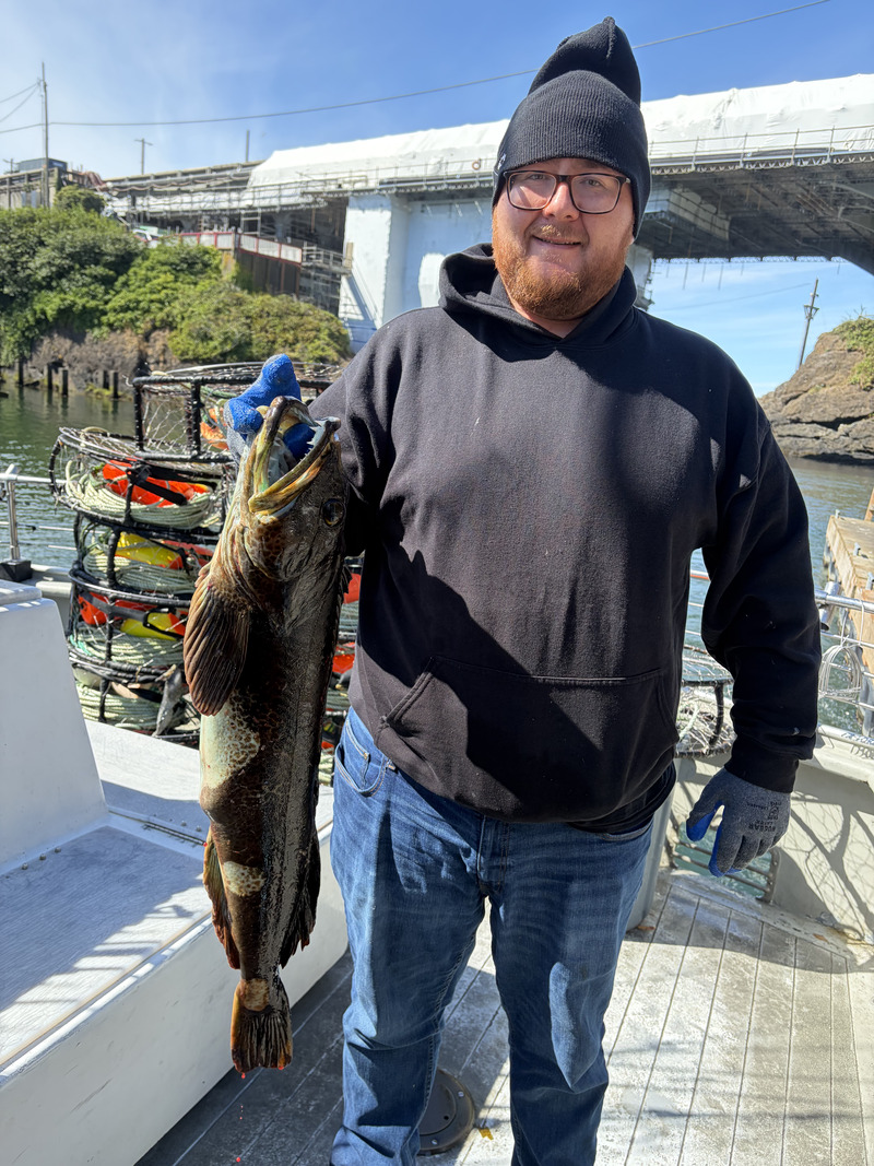 Latest Fish Report