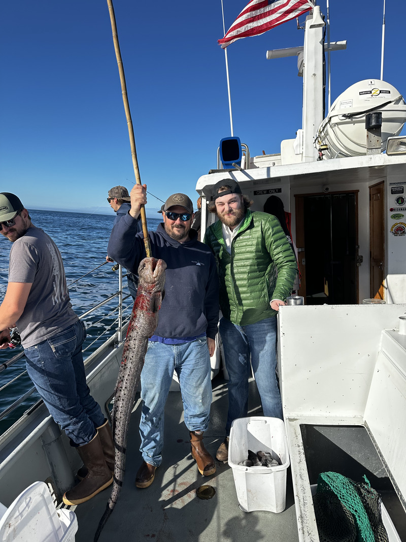 Latest Fish Report