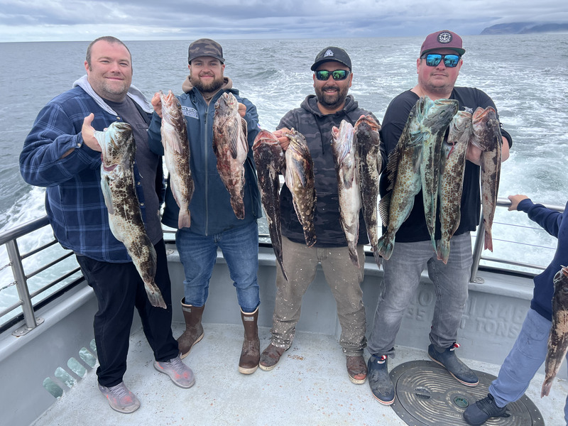 Latest Fish Report