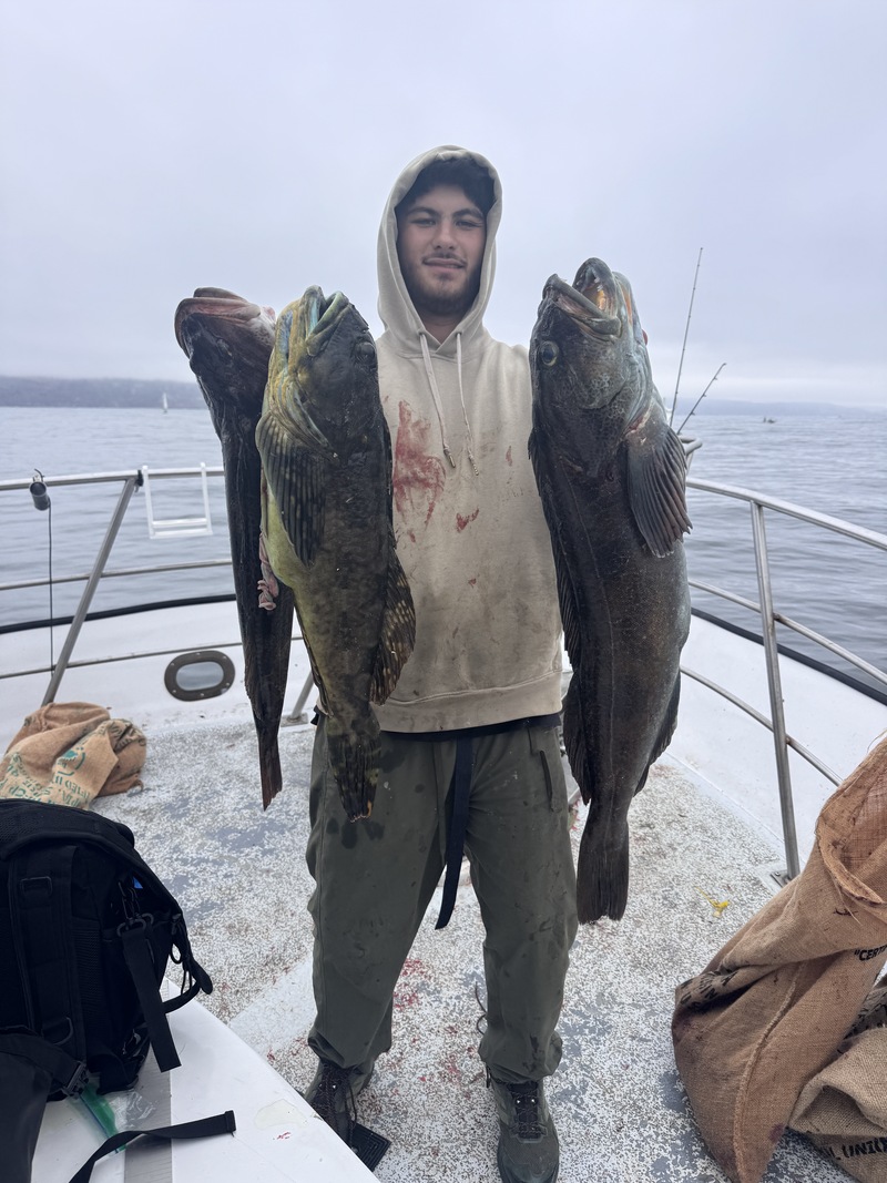 Wednesday Am Update