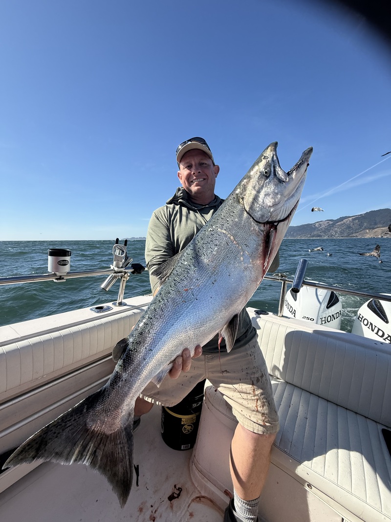 Fish Emeryville's Scores for 9/23/2026 :