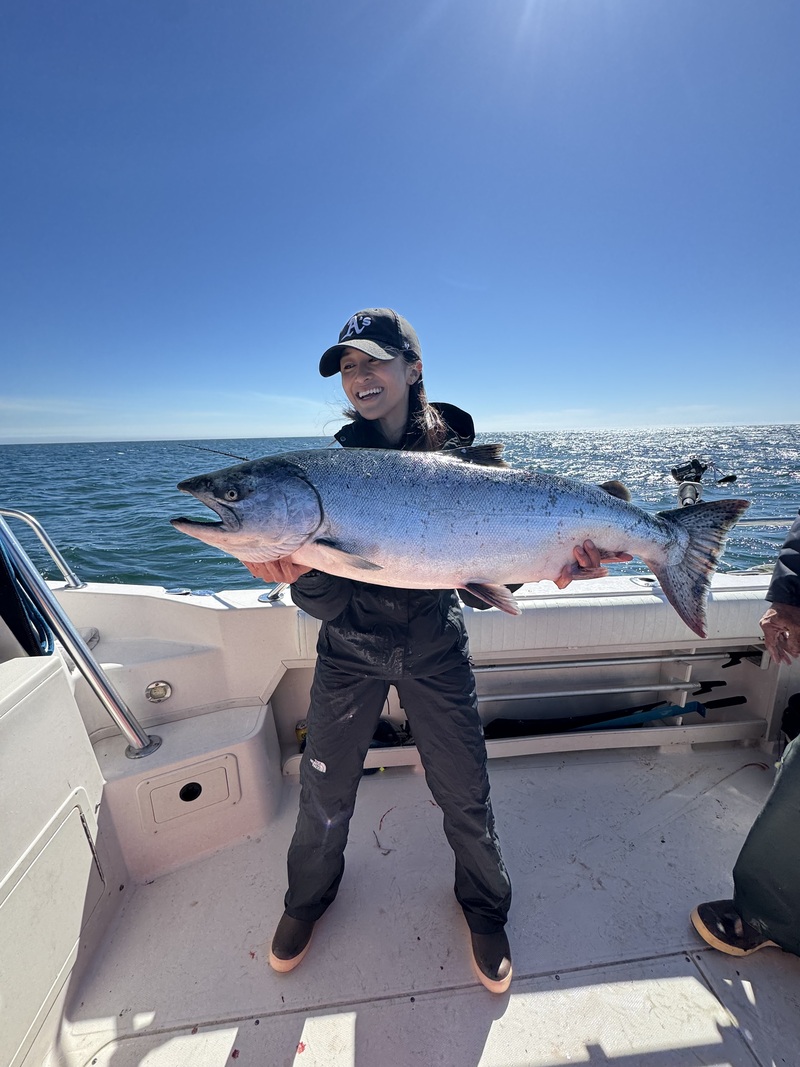 Fish Emeryville's Scores for 9/24/2026 :
